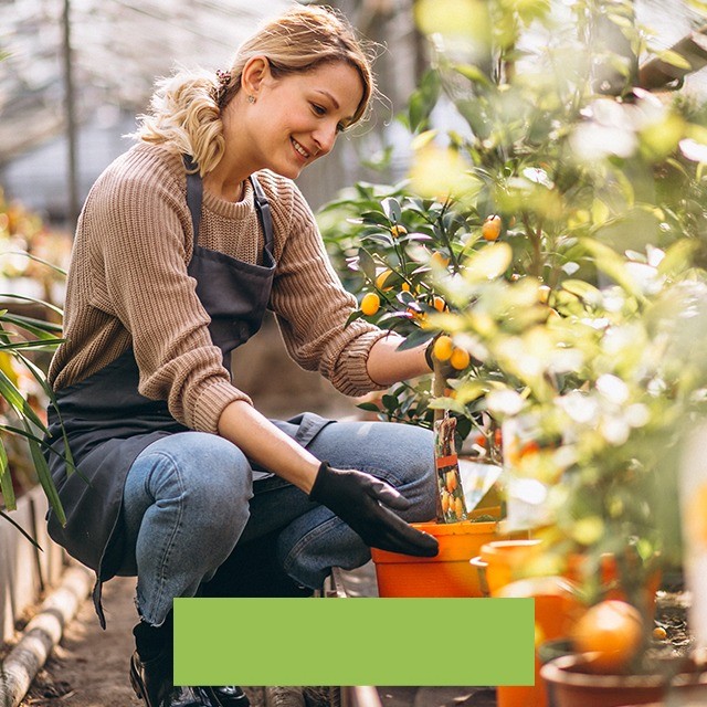 Utensili per Giardinaggio e Ricambi