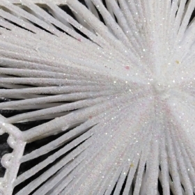 Addobbi, Decorazioni, Eventi